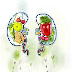kidney-foods