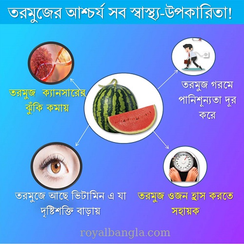 Watermelon Health Benefits in Bengali Language