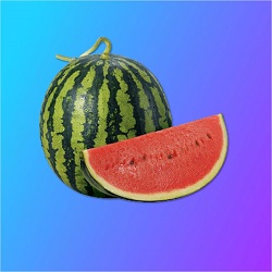 Watermelon Health Benefits in Bengali Language 