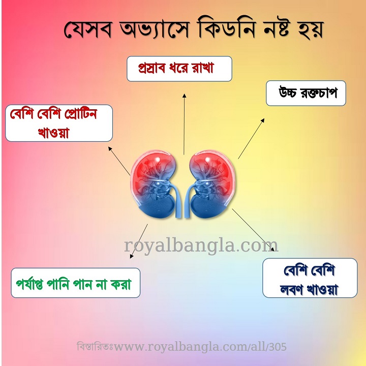 কিডনি নষ্ট হওয়ার কারণ 