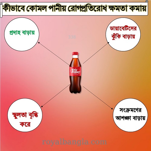  মানব দেহে কোমল পানীয় এর ক্ষতি সমূহ  