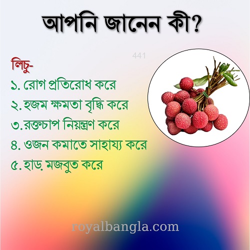  লিচুর গুরুত্ব  