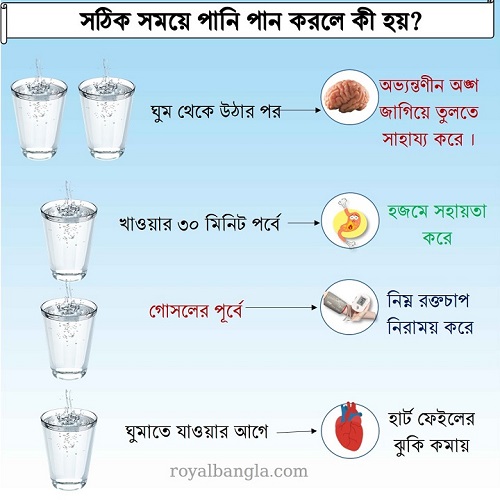  পানি পানের উপকারীতা  