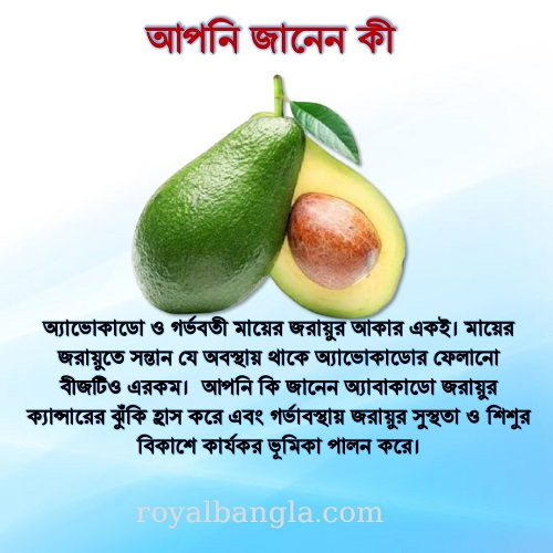 Food With Organs খাদ্য ও অঙ্গ