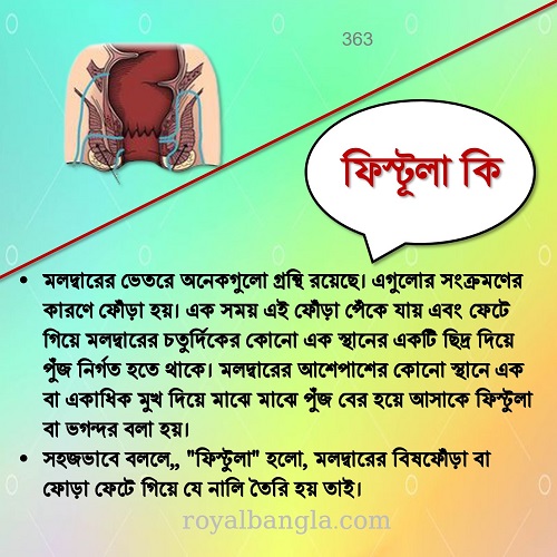  ফিস্টূলা বা ভগন্দর এর লক্ষণ    