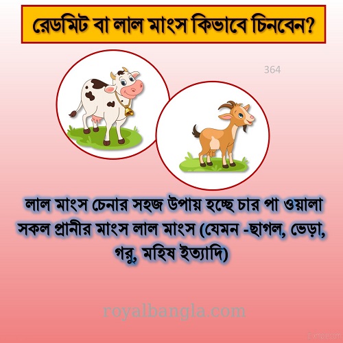 উচ্চ রক্তচাপ হলে করণীয় 