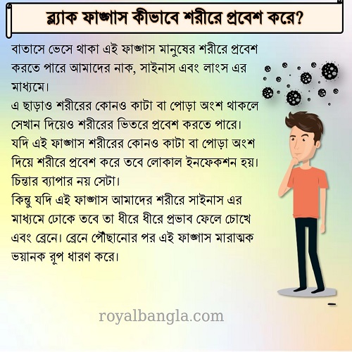  ব্ল্যাক ফাঙ্গাস কি   