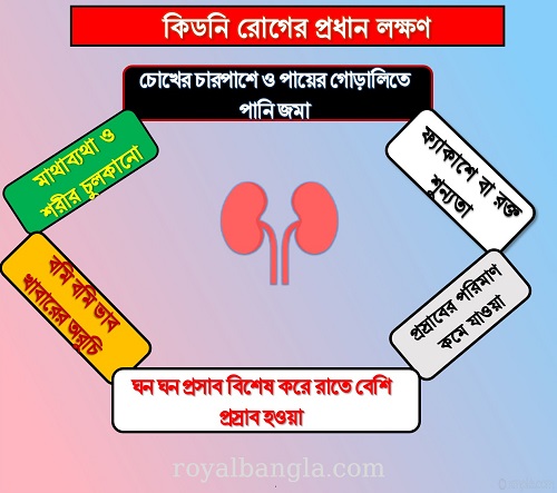 Kidney Diseases 