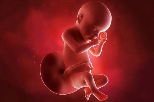 Fetal movements বেবির নড়াচড়া