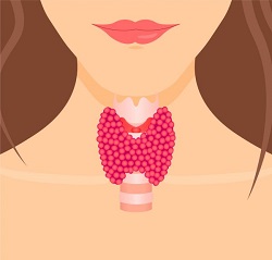 Hypothyroidism Hypothyroidism in Pregnancy