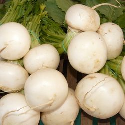 value of turnip 