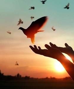 forgiveness