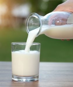 Ideal Food Is Milk 